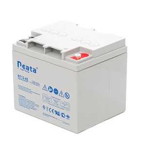 Аккумуляторная батарея Neata NT 12-45